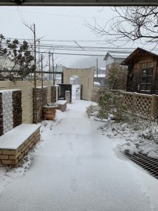 再び、雪サムネイル