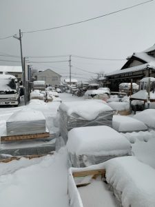 雪、降りました、降っております・・・サムネイル