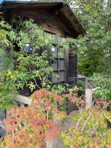 【オンリーワンクラブ】県外発送もお任せください!サムネイル